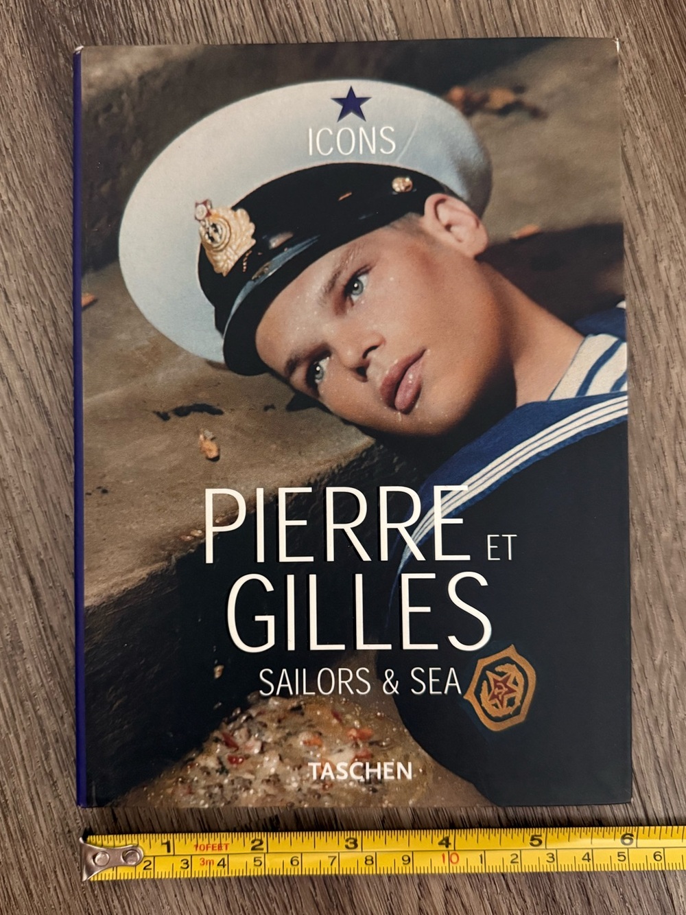 Pierre et Gilles: Sailors & Sea (Icons Series) Book